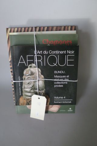 5 livres – L'art du continent noir – Afrique...