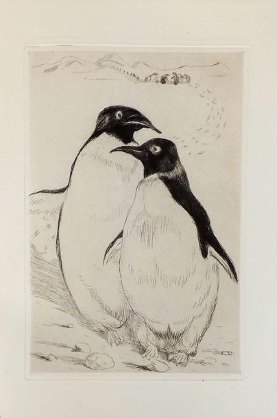 null FRANCE (A.). L’ile des pingouins. Paris, Lapina, 1926. 2 vol. in-4° brochés.
	Belle...