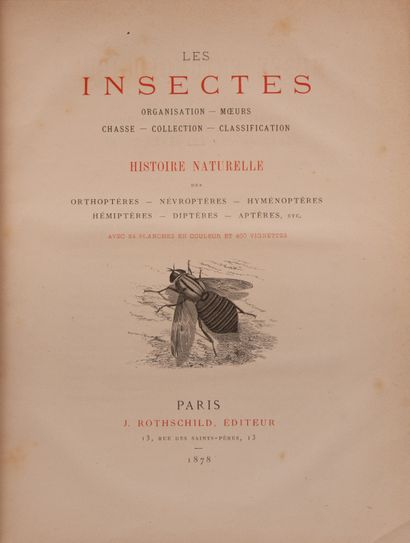 null ROTHSCHILD (J.). Musée entomologique illustré. Histoire naturelle iconographique...