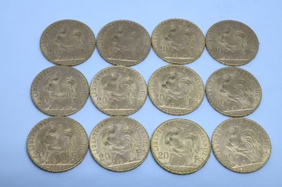 null France. Douze pièces 20F or au coq, 1907, 1908, 1910, 1911 (x5), 1913 (x3) et...