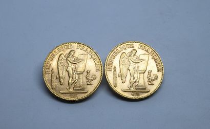 null France. 2 coins 20Fr gold to the genius, 1898



Lot sold on designation, kept...