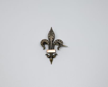 null Broche ancienne fleur de lys en métal argenté

Poids : 3,6 g



Provenance :...