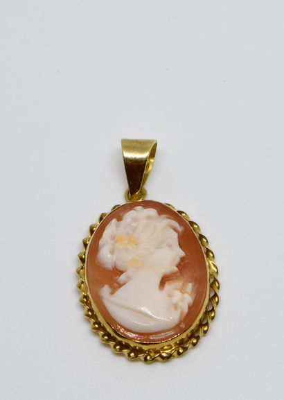 null Small pendant adorned with a shell cameo representing an elegant woman in profile....