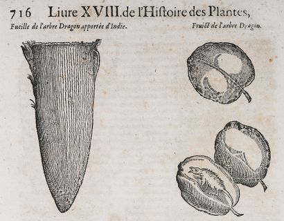 null DALECHAMPS. (Jacques). HISTOIRE GENERALE DES PLANTES containing XVIII books...