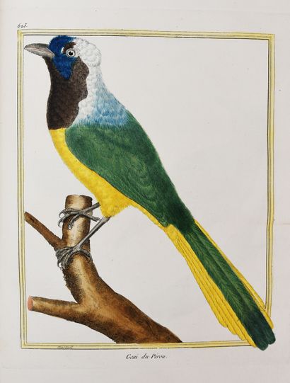 null BUFFON (Georges-Louis Leclerc de). NATURAL HISTORY OF BIRDS. Paris, de l'Imprimerie...