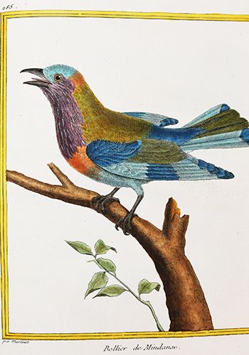 null BUFFON (Georges-Louis Leclerc de). NATURAL HISTORY OF BIRDS. Paris, de l'Imprimerie...