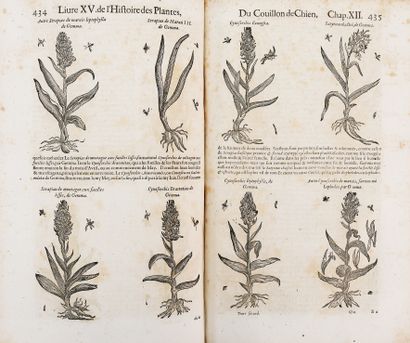 null DALECHAMPS. (Jacques). HISTOIRE GENERALE DES PLANTES containing XVIII books...