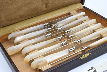 null Suite of fourteen fruit knives, the silver blades 2nd title and the handles...