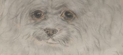  Léonard Tsuguharu FOUJITA 1886-1968 Le chien bichon, 1931 Dessin au fusain, à l'estompe,...