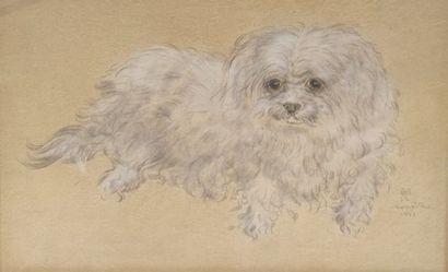 null 
Léonard Tsuguharu FOUJITA 1886-1968
Le chien bichon, 1931
Dessin au fusain,...