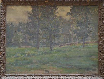 null Jules ROUFFET (1862-1931)

L’orée du bois, 1929

Huile sur toile, signée et...