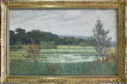 null Pierre PRINS (1838-1913)

Paysage à l’étang. 

Pastel, signé en bas à gauche

72,5...