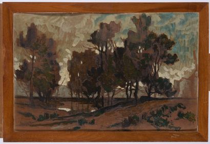 null Eugène BROUILLARD (1870-1950)

Paysage aux grands arbres

Huile sur carton,...