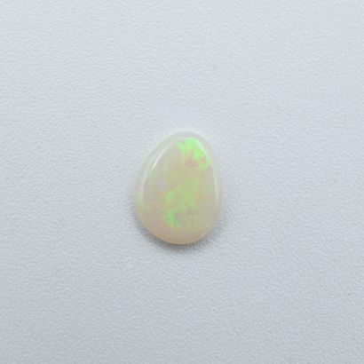 null Opale de forme ovale pesant 1.2 carat, fond blanc avec jeux de couleurs jaune-orange-vert,...