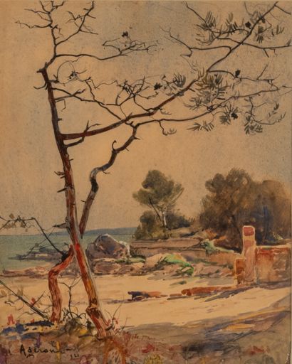 Louis AGERON (1865-1935)

Pine on the Beach,...