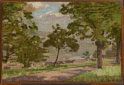 null Honoré CAVAROC (1846-1931)

Trees on the banks of the Saône

Oil on canvas mounted...