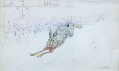 Édouard MÉRITE (1867-1941)
Hare on the Run
Watercolor,...