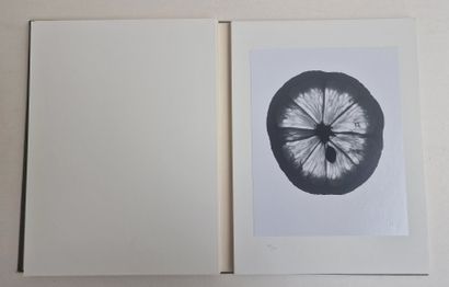 null Denis BRIHAT (b. 1928)
Un Citron, 1963
Collection of eighteen (18) silver prints...