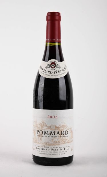 null POMMARD.
Bouchard Père et Fils
Vintage : 2002
1 Bottle

Expert : Denis Bern...