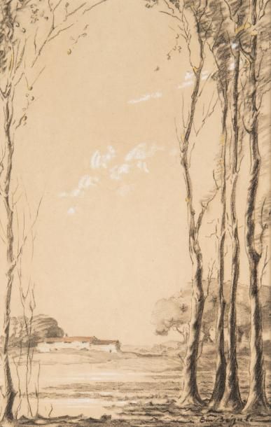 Joseph Émile BÉGULE (1880-1972) Paysage de sous bois. Crayon et rehauts de blanc...