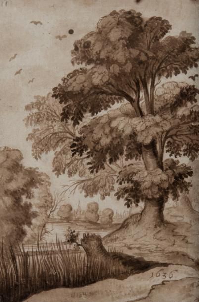 Attribué à Alexander Keirincx Anvers, 1600 - Amsterdam, 1652 Paysage à l'arbre Lavis...