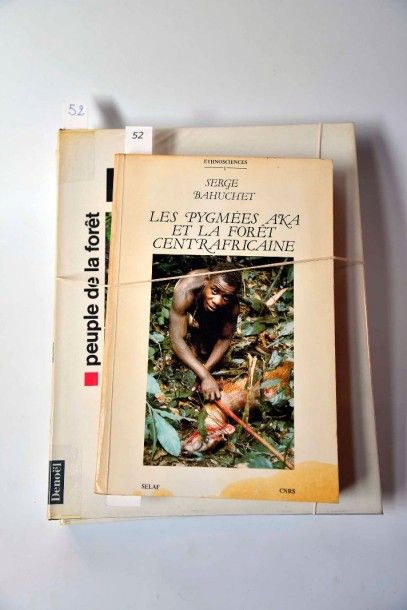 THOMSON R. Farris & BAHUCHET Serge, « Pygmées ? Peintures sur écorce battue des Mbuti (Haut Zaïre) »