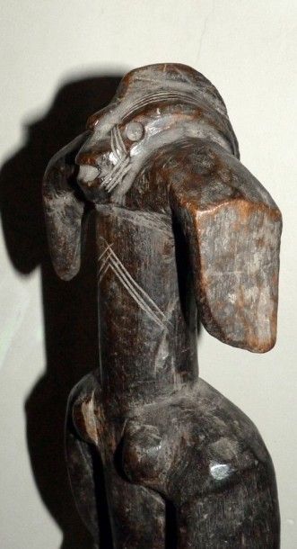 null STATUE MUMUYE (Nigeria). Importante statue féminine longiligne en bois, petite...