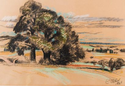 Emile DIDIER (1890-1965) Champs et arbres. Pastel, signé en bas à droite et daté...