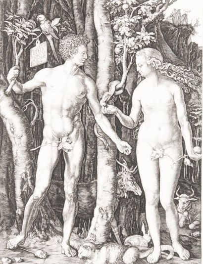 Albrecht Dürer (1471-1528) Adam et Eve. Eau-forte, 25,5 x 19,5 cm