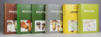 null FUNGI EUROPAEI. 1. Agaricus.1984 - 2 et 2a. Boletus. 1985-1991 - 3. Tricholoma....