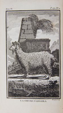 BUFFON (Comte de) 
Histoire naturelle. Paris, Imprimerie Royale, 1769-1770. 13 volumes...