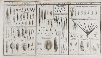 null [BOTANIQUE]. MONTI (J). Catalogi agri bononiensis prodomus gramina... Bologne,...