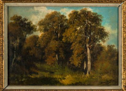 Alfred SMITH (1853/54-c.1932) Sous-bois en automne.
Huile sur panneau, signée en...