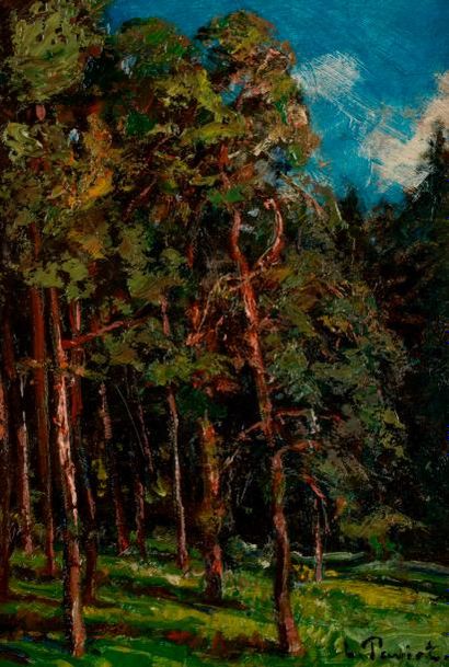 Louis PAVIOT (1872-1943) Paysage aux arbres.
Huile sur panneau, signée en bas à droite.
31,5x23,5...