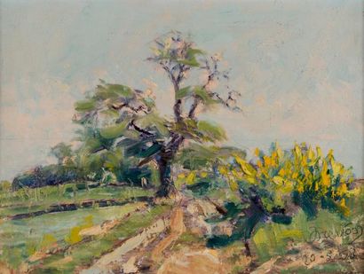 Jean DREVON (1899-1978) Paysage au printemps avec des genets en fleurs. Huile sur...
