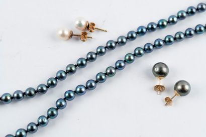null Collier de 70 perles de Tahiti (Diam: 6 mm env.), shoker. L: 46 cm.
On y joint...
