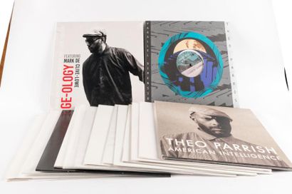 null Lot de 16 disques 33t du label Sound Signature comprenant Theo Parrish ?– Pieces...