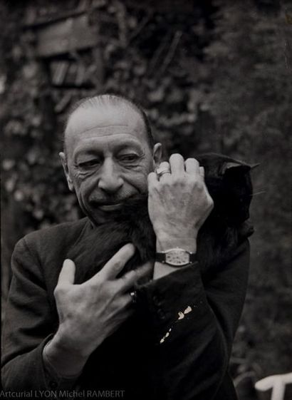 null Henri CARTIER-BRESSON (1908-2004). Portrait d'Igor Stravinsky avec son chat....