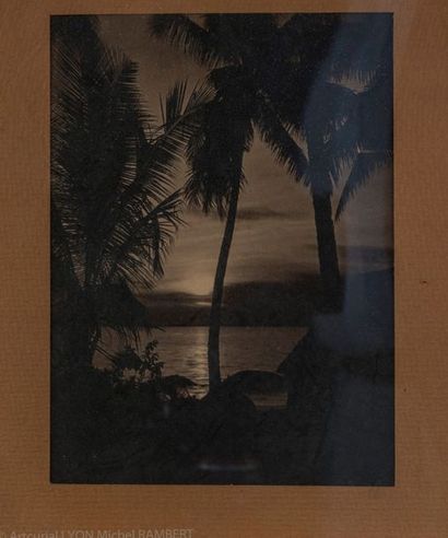 null Trois photographies du Vietnam et de la Polynésie, vers 1930