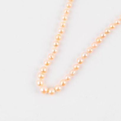 null Collier en chute de 117 perles (probablement fines) de couleur crème, de formes...
