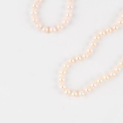 null Un collier choker de perles de cultures blanches avec fermoir et chaînette de...