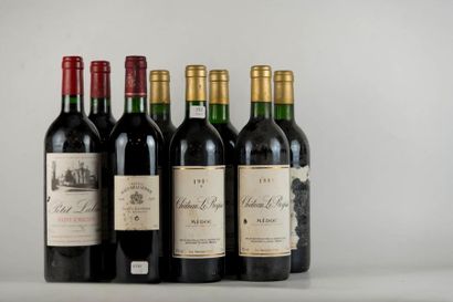 null Lot de 8 Bts Bordeaux : 

5 Bts Château Le Reysse, Médoc, 1989, Le Savour Club....
