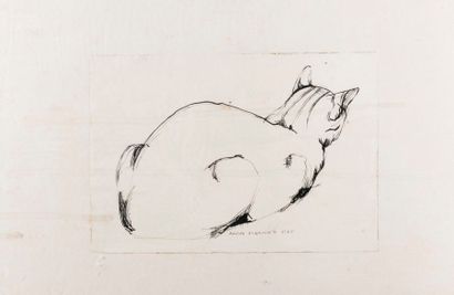 null Adam SAULNIER (1915-1991). Le chat. Encre, signée. 14x21 cm.