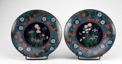 null Japon. Paire de plats en émaux cloisonnés à décor polychrome de fleurs. Diam...