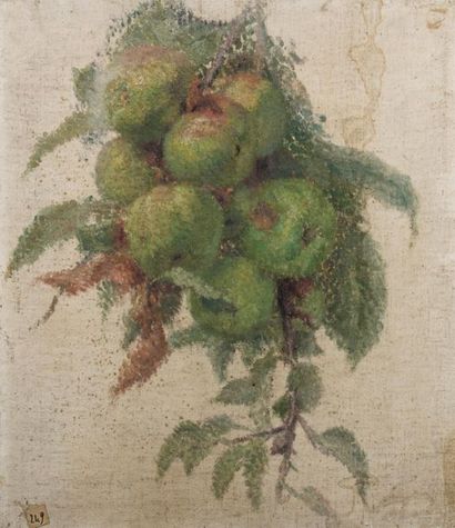 null Suzanne AUFRAY GENESTOUX (XIX-XXème). Etude de pommes. Huile sur toile marouflée...