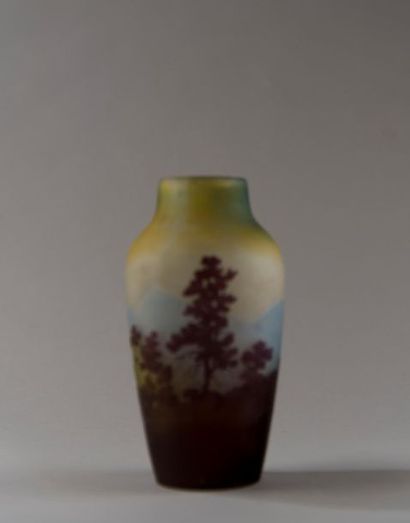  Emile GALLE (1846-1904). Vase en verre triplé à décor dégagé à l'acide et repris...