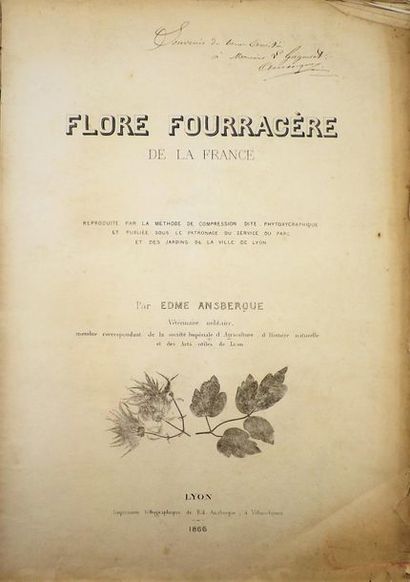 null ANSBERQUE (Edme). Flore fourragère de la France reproduite par la méthode dite...
