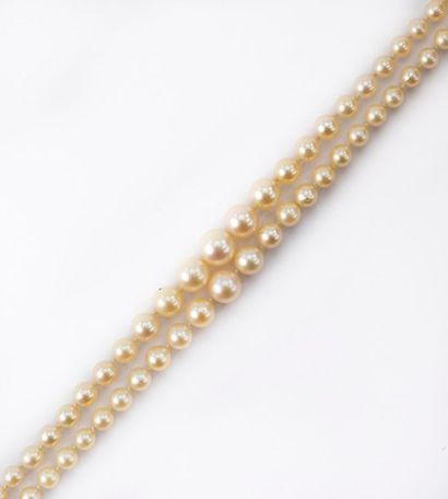 null Collier double rangs de perles de cultures blanches légèrement teintées en chute,...