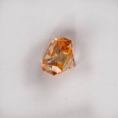 null Diamant sur papier environ 0,88 ct Inclusion orange. Expert : Victoire Vall...