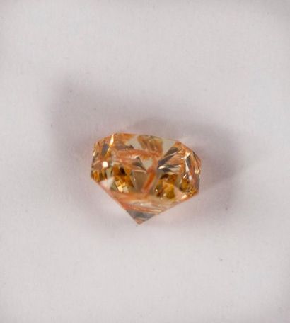 null Diamant sur papier environ 0,88 ct Inclusion orange. Expert : Victoire Vall...